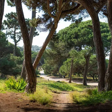 Willa Lv Premier Meco/lagoa La1