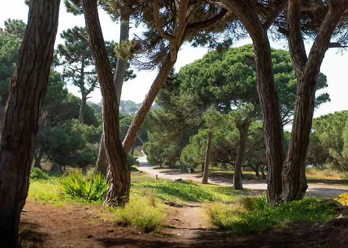 Villa Lv Premier Meco/lagoa La1