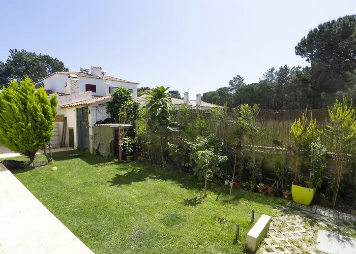 Lv Premier Meco/lagoa La1 *